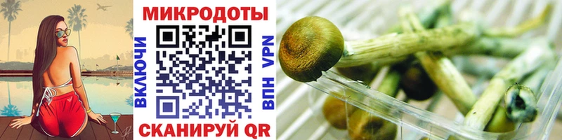 Псилоцибиновые грибы мицелий  Галич 